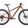 VTT Semi-Rigide Specialized Rockhopper Comp 29 Redwood / Smoke 2022